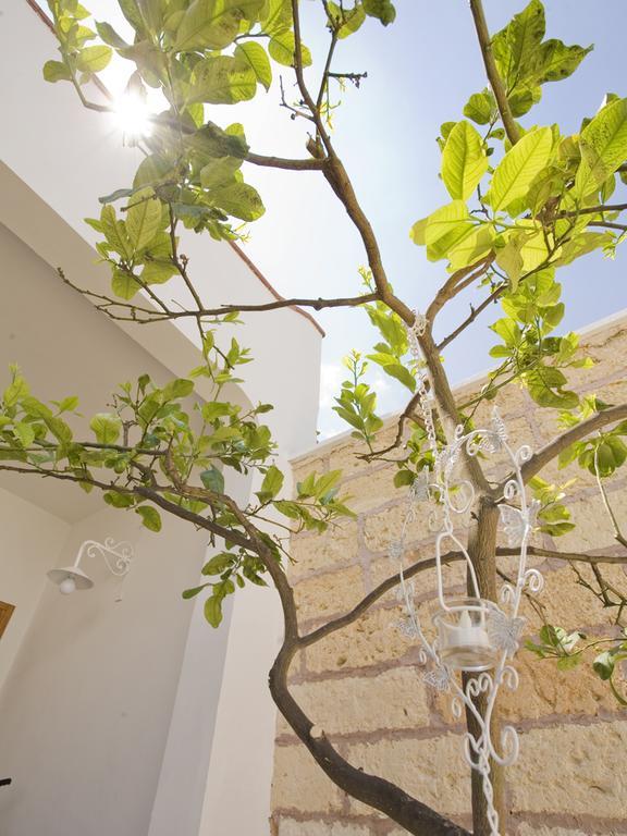 B&B Viro Campi Salentina ภายนอก รูปภาพ