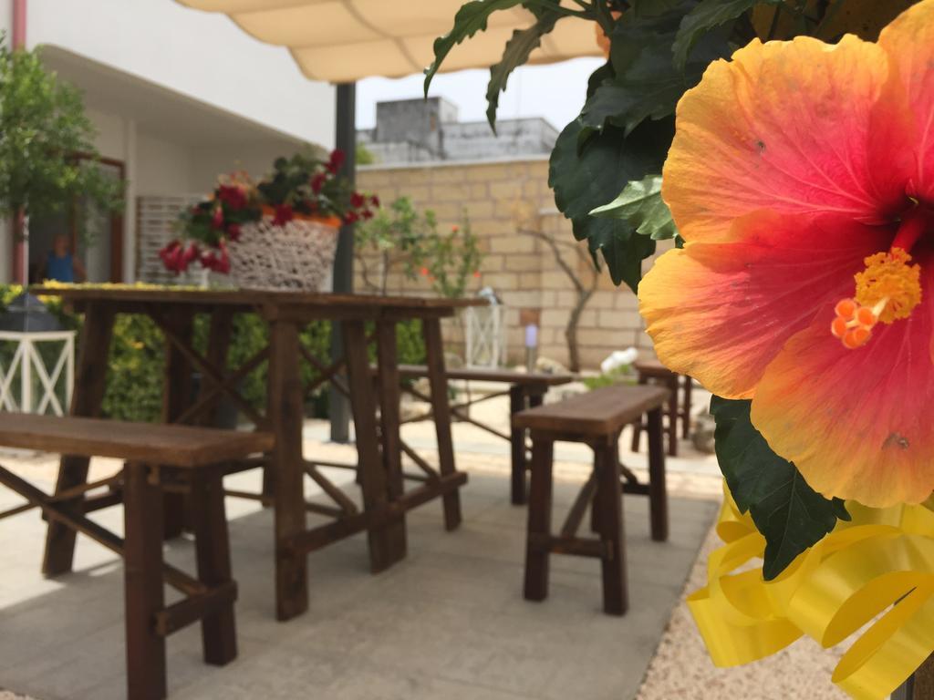 B&B Viro Campi Salentina ภายนอก รูปภาพ